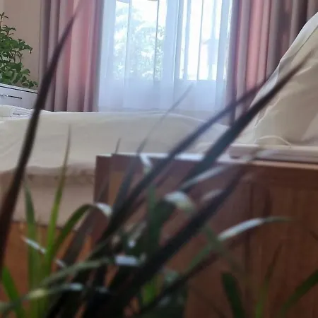 Comfy Apartment- Sunny Balcony 아파트 *
